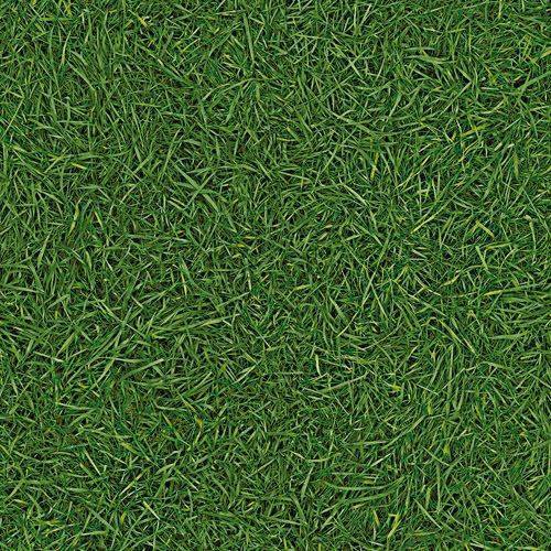 Линолеум бытовой "IVC" Neo Grass 25 (3м) — купить в Кирове