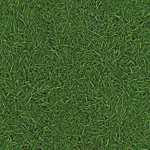 Линолеум бытовой "IVC" Bingo Grass 25 (3м) — купить в Кирове